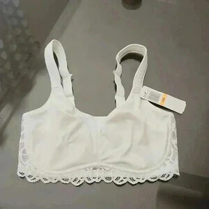 FELINA BRA